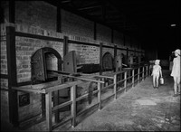 The ovens of Majdanek. It was here that all dead bodies were burned.
Approximately 125,000 Jews were killed at Majdanek. 1975
