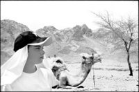 Me, a camel and the Sinai mountains.  Camels are stubborn, funny, dumb, smile, spit and have 2 pairs of knees on their hind legs.
