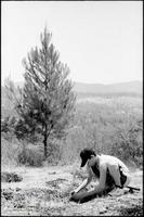 At my Bar Mitzvah ceremony, one of the things I said I'd do was donate money in order to plant a tree in Israel.  It's better to do it yourself.
