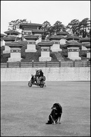 Dog and couple on moped with 108 stupas. Dochula Pass, Bhutan 2004