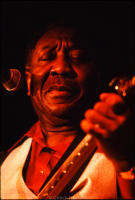 Muddy Waters