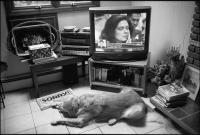 Live TV coverage of the seventh anniversary of the attack at the World Trade Center, Rockland County, NY, Sept. 11, 2008